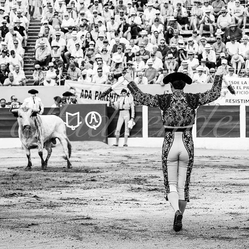 20250713 ceret cuadrillas 002 copie