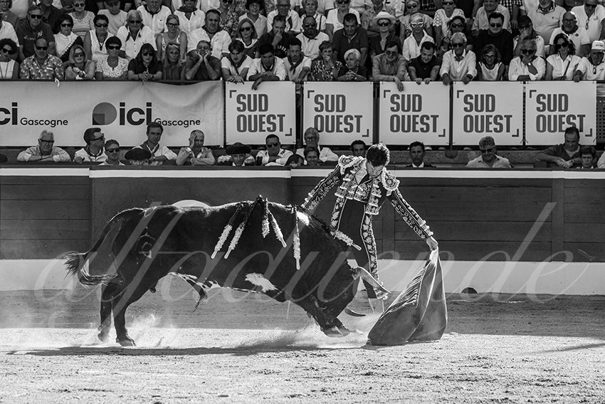 20250716 mt de marsan 012