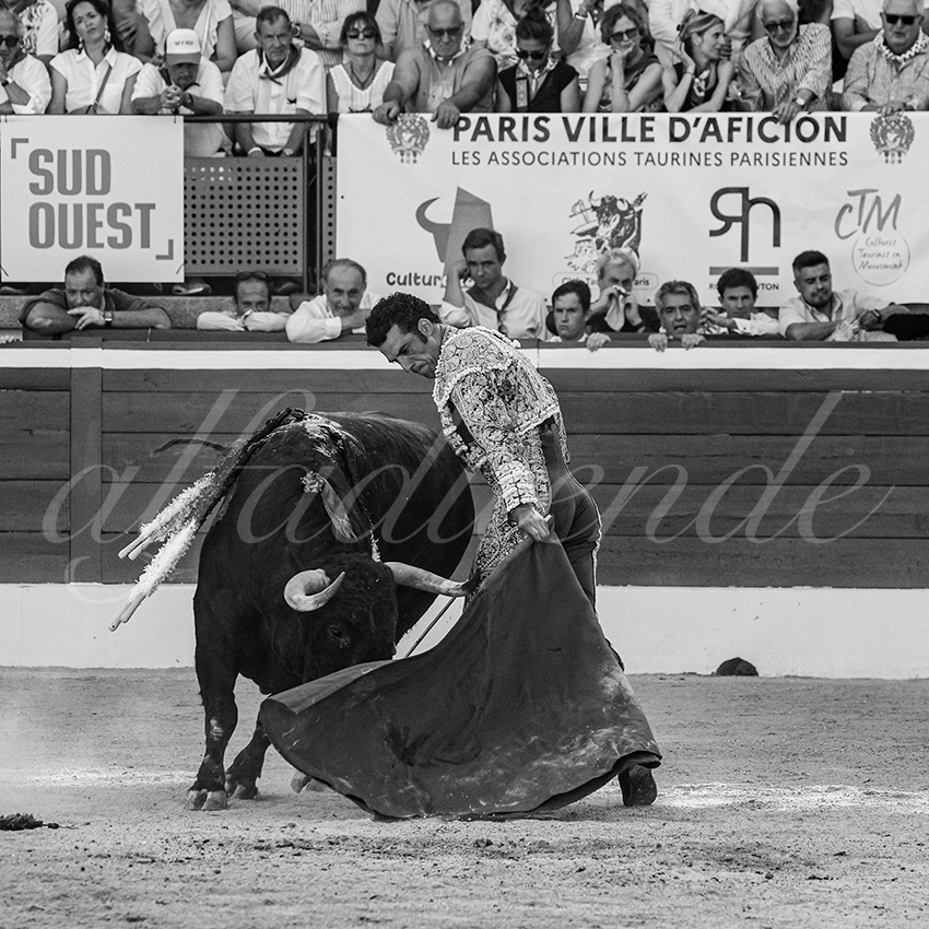 20250716 mt de marsan 011