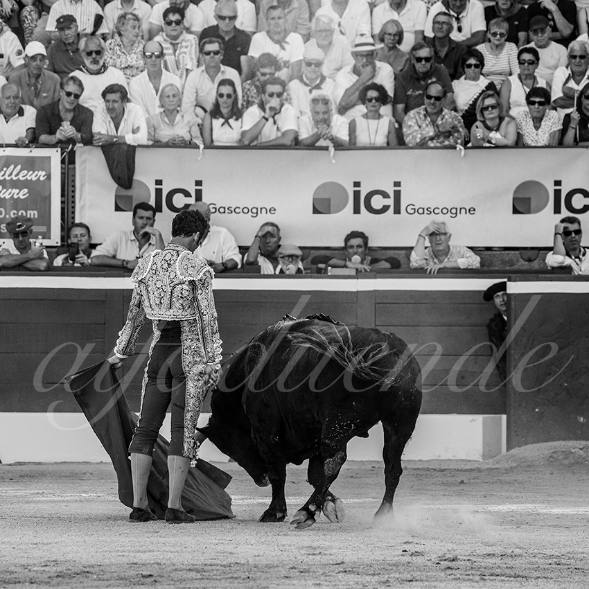 20250716 mt de marsan 010