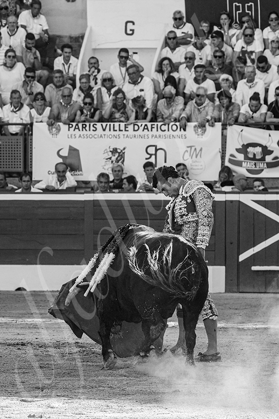 20250716 mt de marsan 009