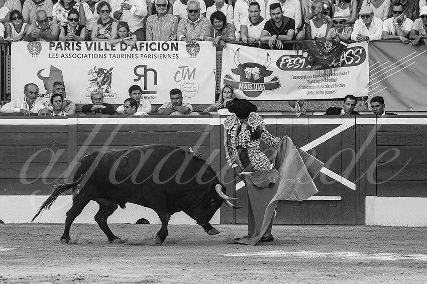 20250716 mt de marsan 008