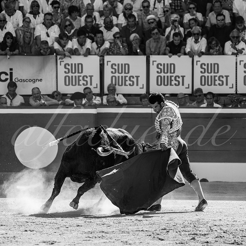 20250716 mt de marsan 006