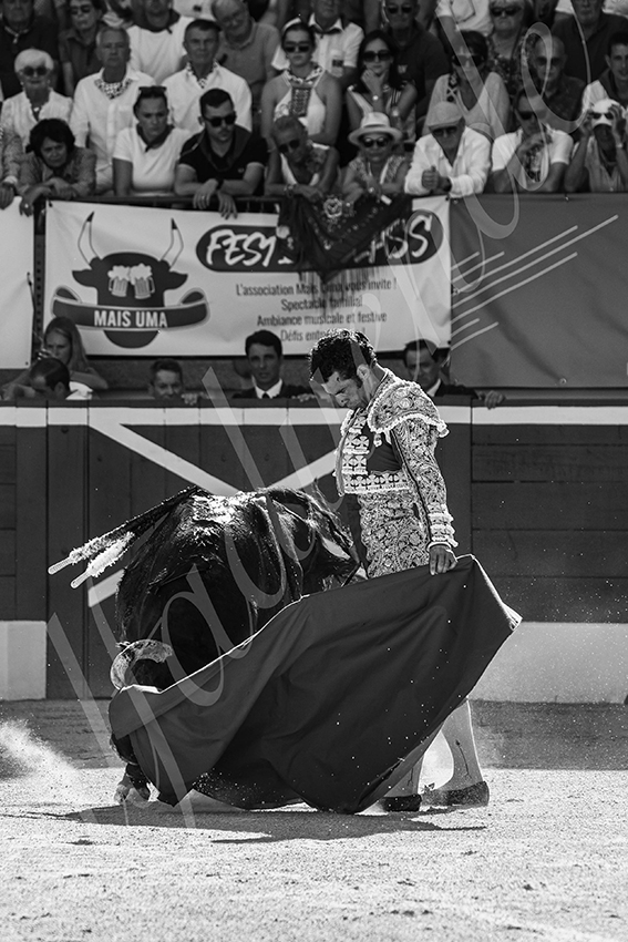 20250716 mt de marsan 005