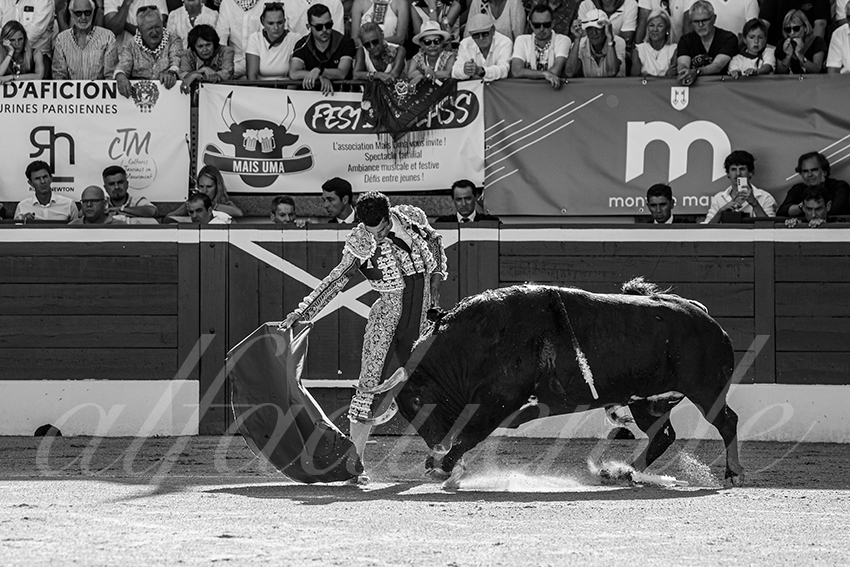 20250716 mt de marsan 004