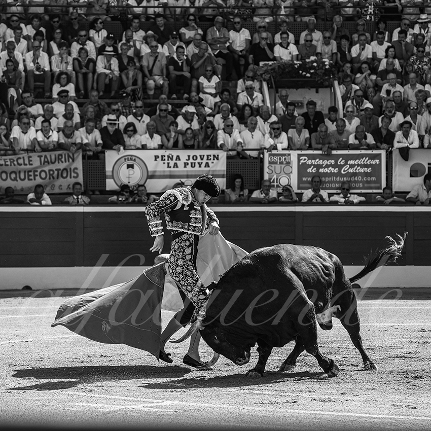 20250716 mt de marsan 003