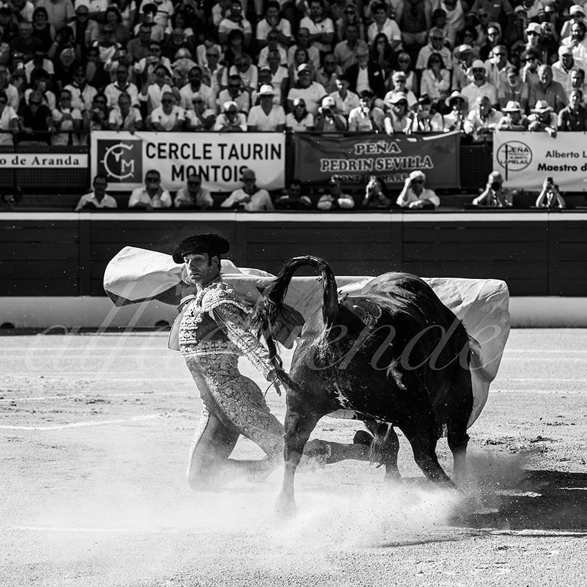 20250716 mt de marsan 002