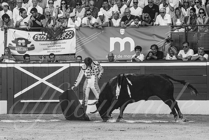 20250716 mt de marsan 023