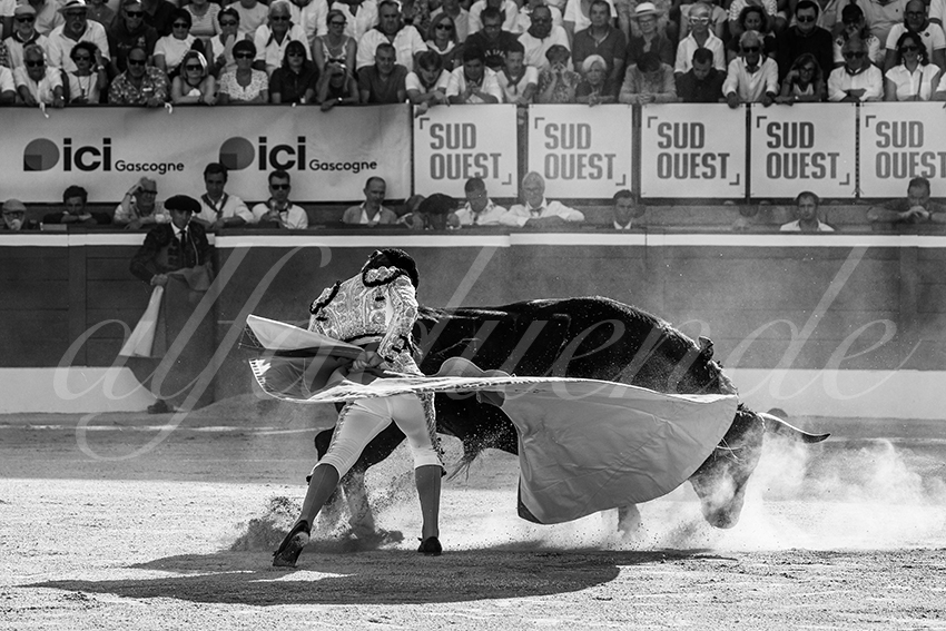 20250716 mt de marsan 022