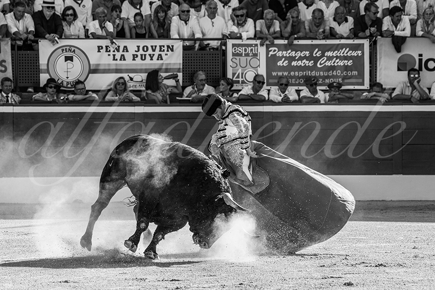 20250716 mt de marsan 021