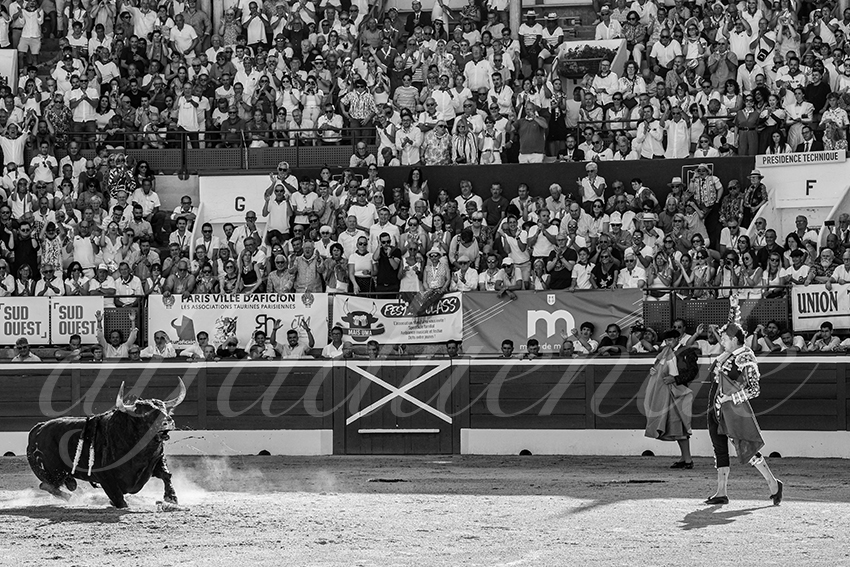 20250716 mt de marsan 020