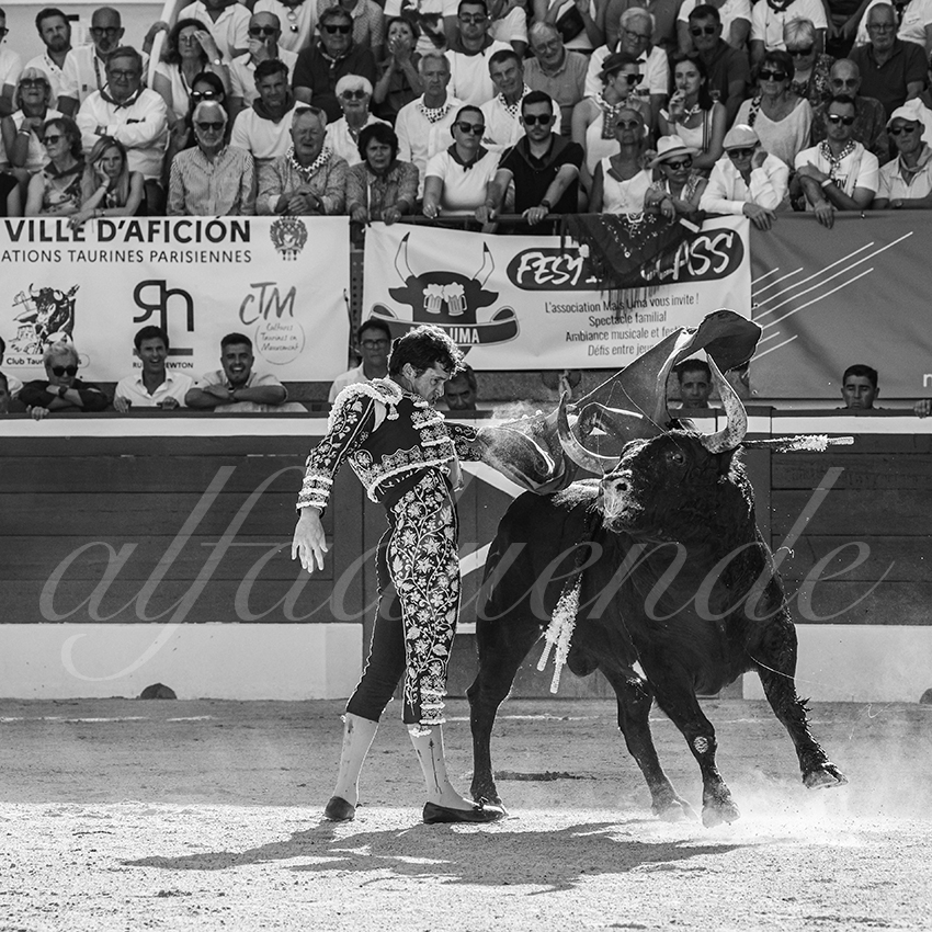 20250716 mt de marsan 019