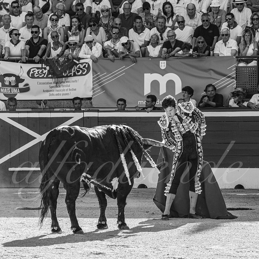 20250716 mt de marsan 017