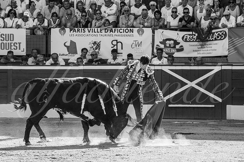 20250716 mt de marsan 016