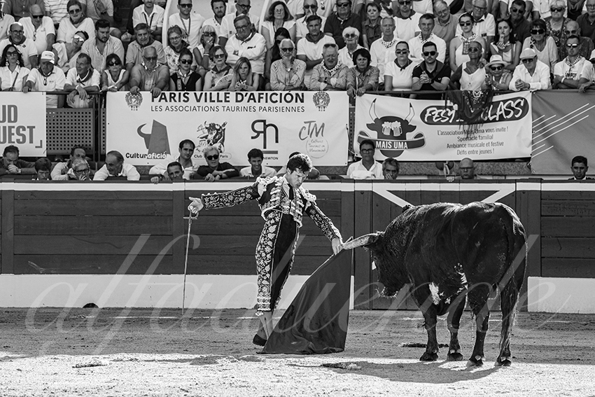 20250716 mt de marsan 015