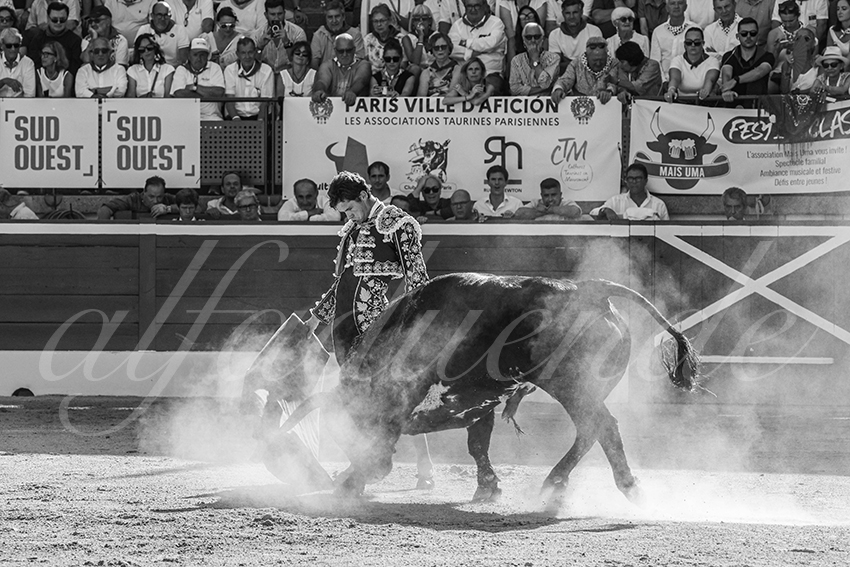 20250716 mt de marsan 014