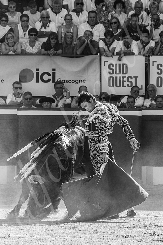 20250716 mt de marsan 013