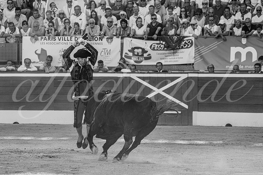 20250716 mt de marsan cuadrillas 005 copie