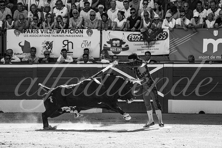 20250716 mt de marsan cuadrillas 001 copie