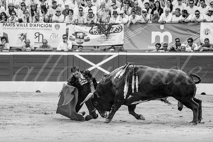 20250717 mt de marsan 012