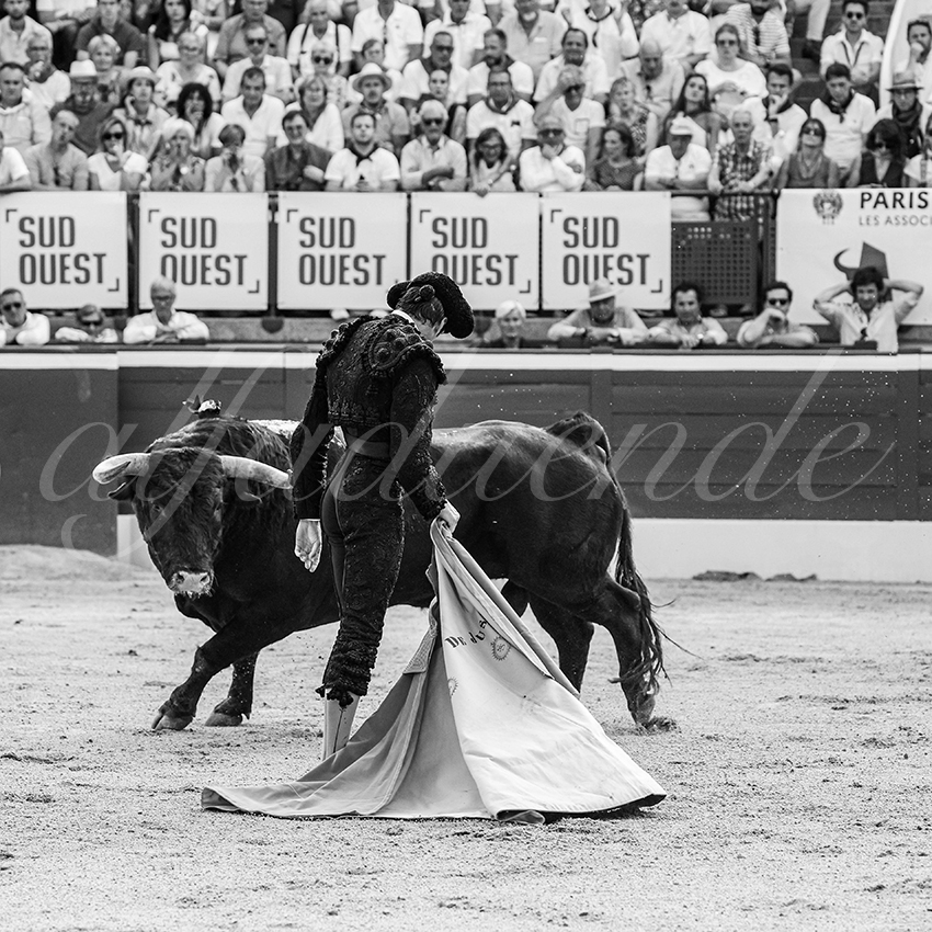 20250717 mt de marsan 011