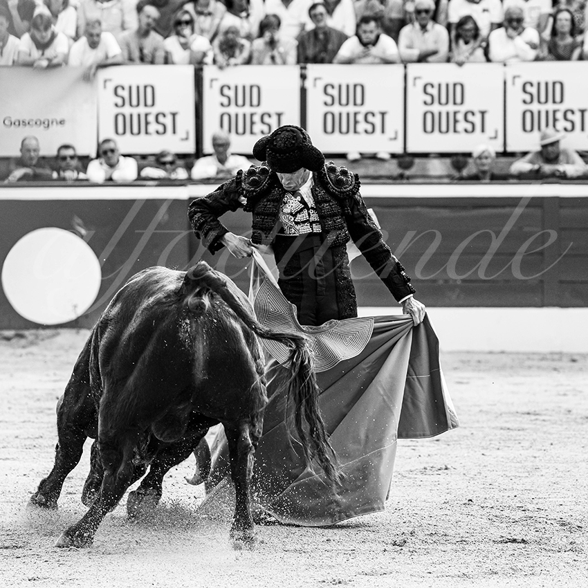 20250717 mt de marsan 010