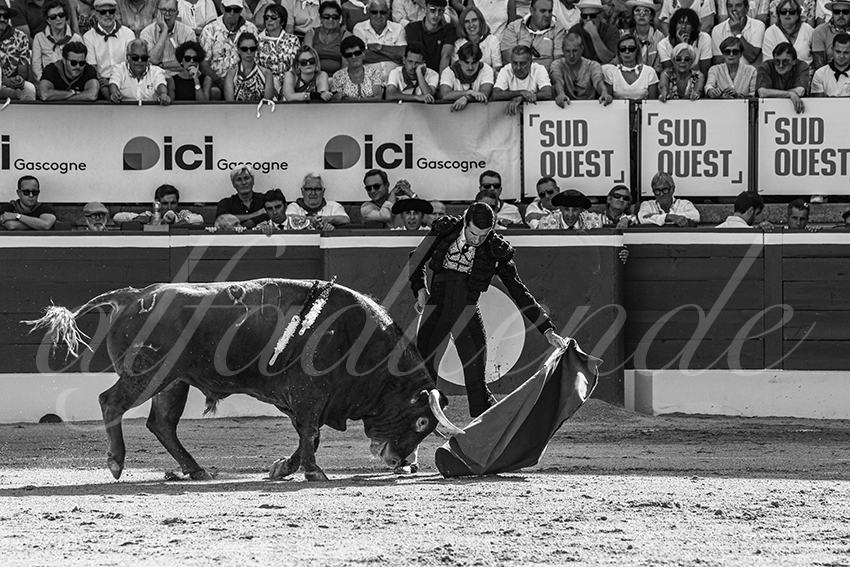 20250717 mt de marsan 008