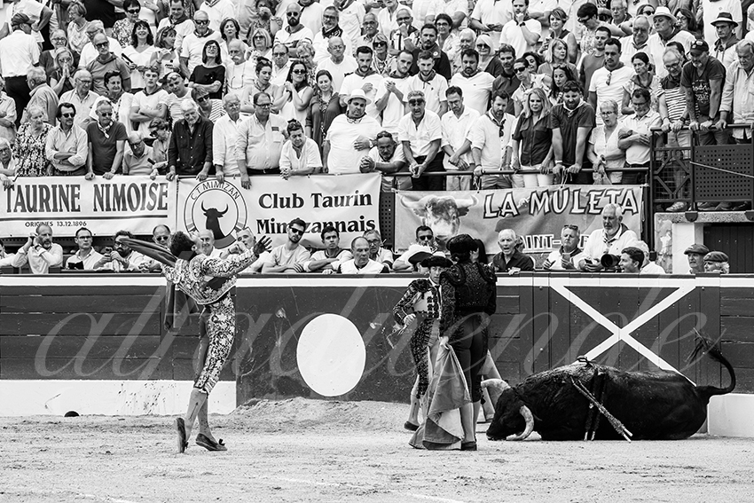 20250717 mt de marsan 006