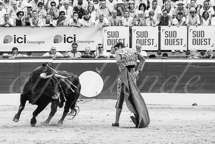 20250717 mt de marsan 004