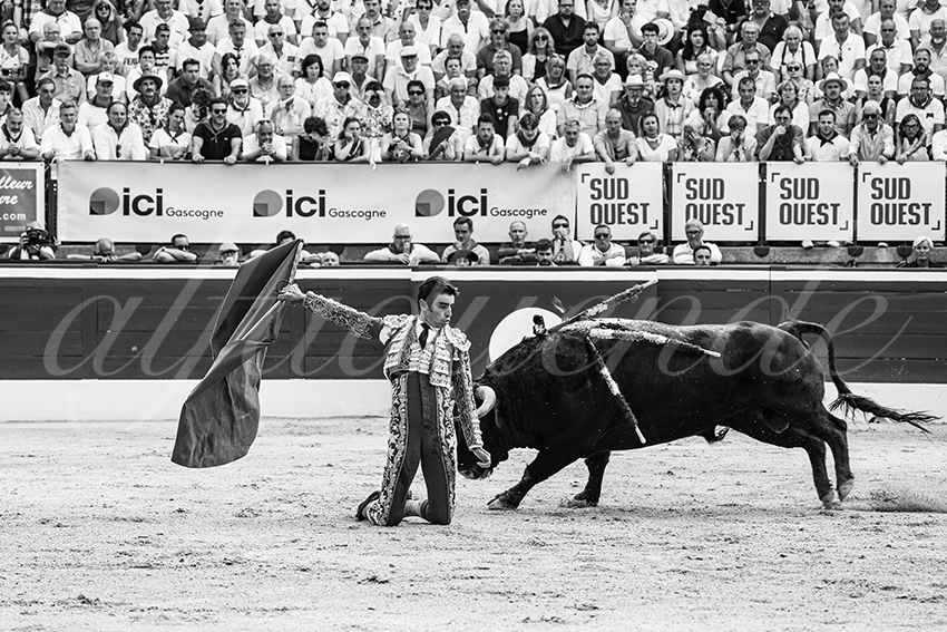 20250717 mt de marsan 003