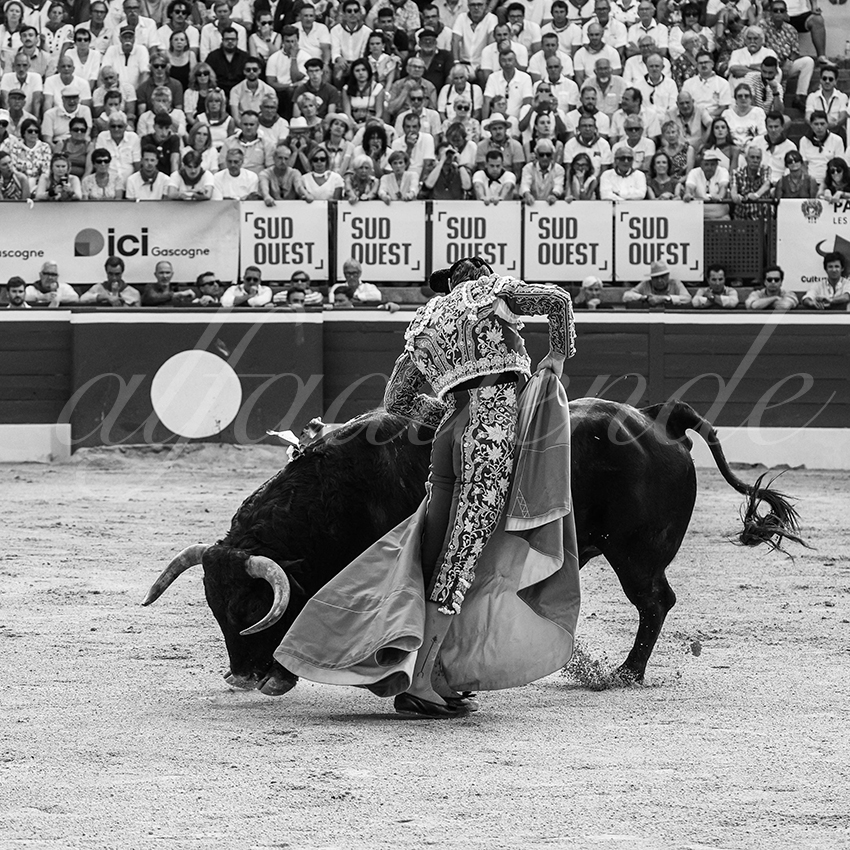 20250717 mt de marsan 002