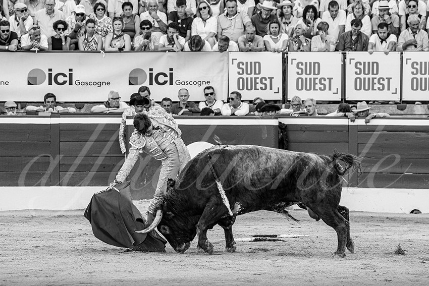 20250717 mt de marsan 026