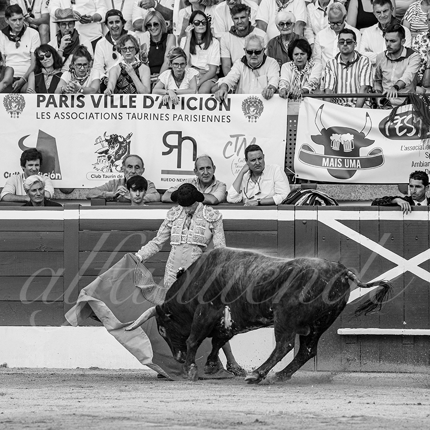 20250717 mt de marsan 023