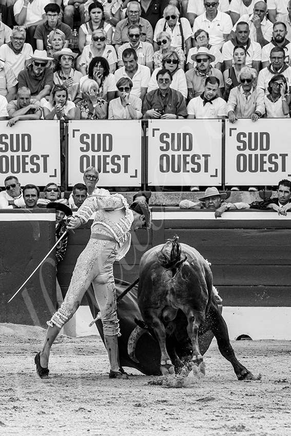 20250717 mt de marsan 022