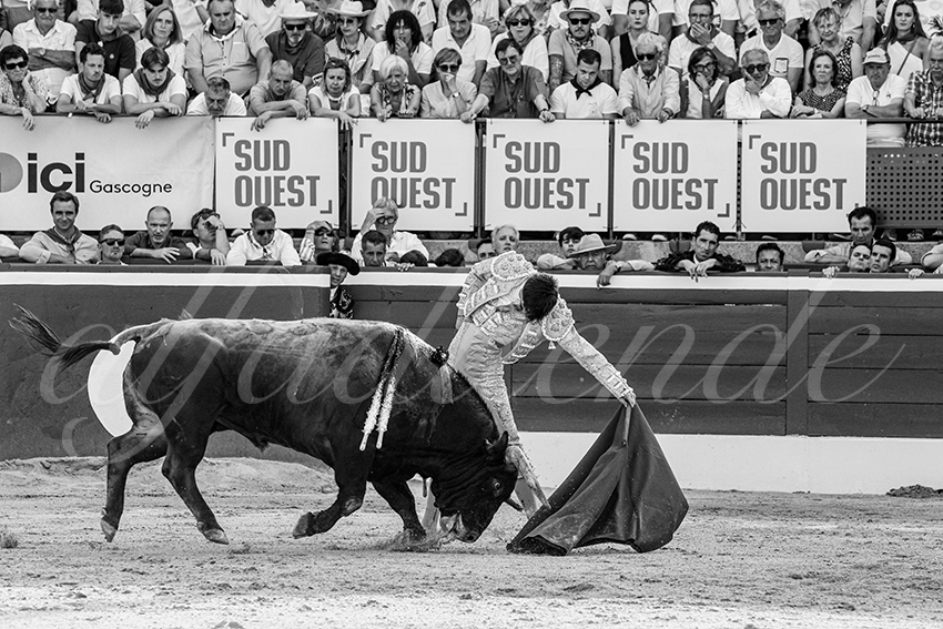 20250717 mt de marsan 021