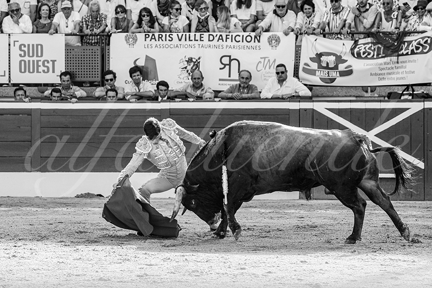 20250717 mt de marsan 020