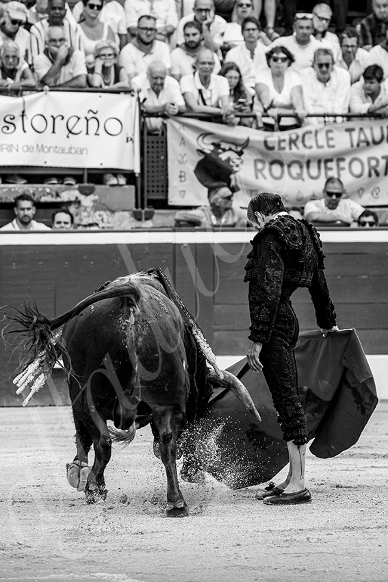 20250717 mt de marsan 018