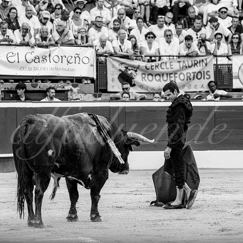 20250717 mt de marsan 017