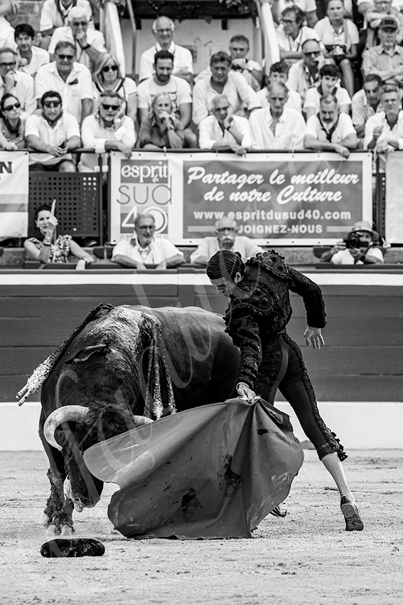 20250717 mt de marsan 016