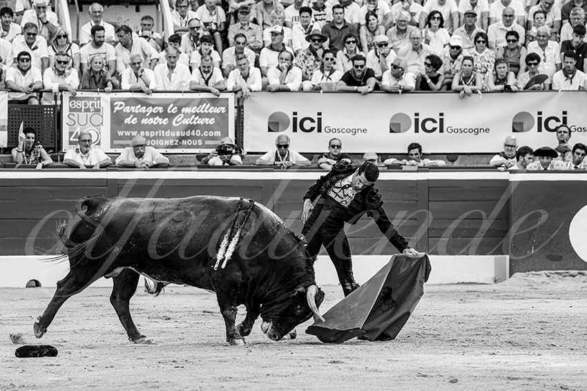 20250717 mt de marsan 015