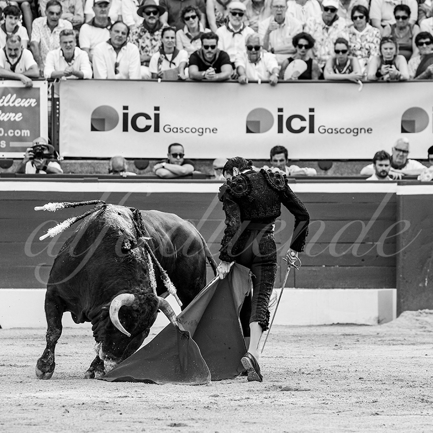 20250717 mt de marsan 014