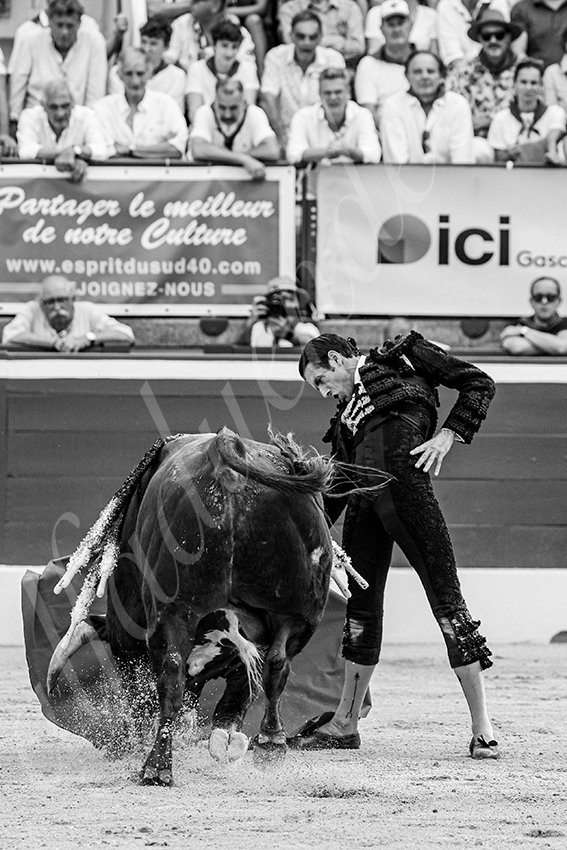 20250717 mt de marsan 013