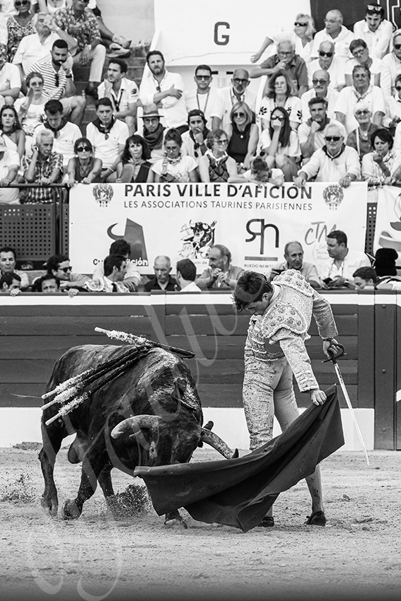 20250717 mt de marsan 028