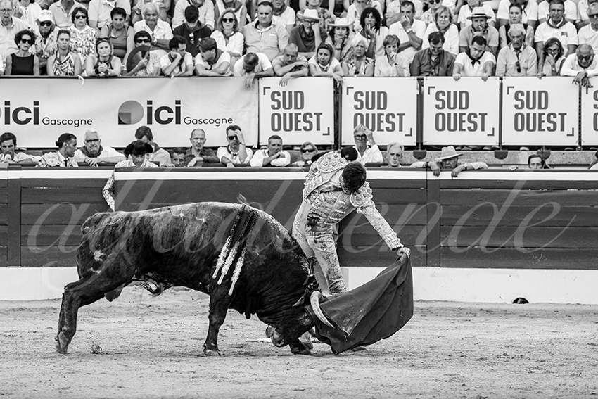 20250717 mt de marsan 027