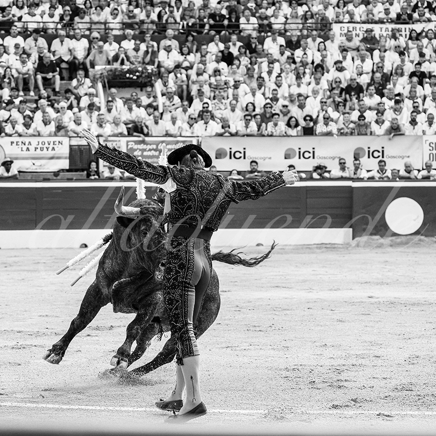 20250718 mt de marsan cuadrillas 003 copie