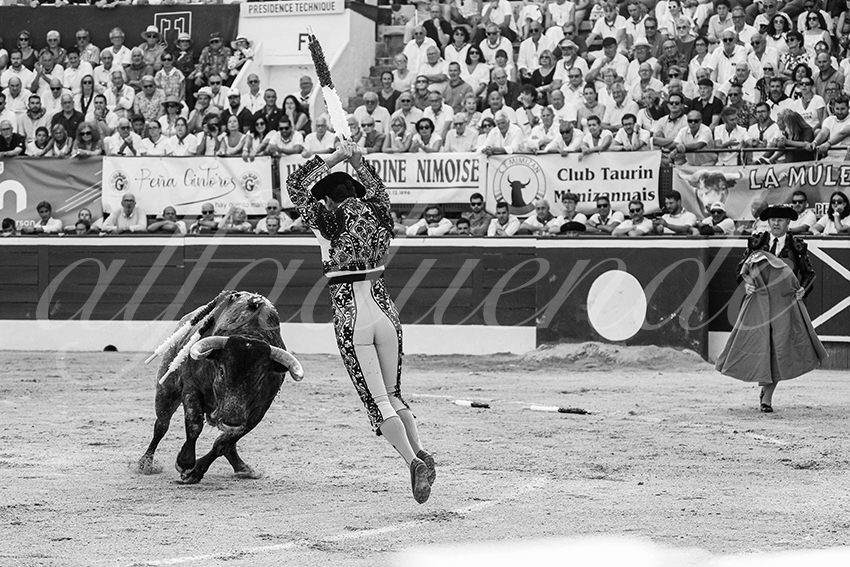 20250718 mt de marsan cuadrillas 002 copie