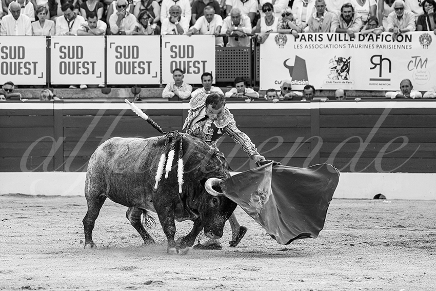 20250718 mt de marsan 011