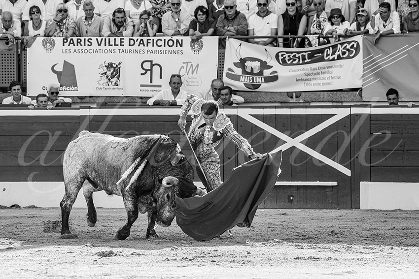 20250718 mt de marsan 009