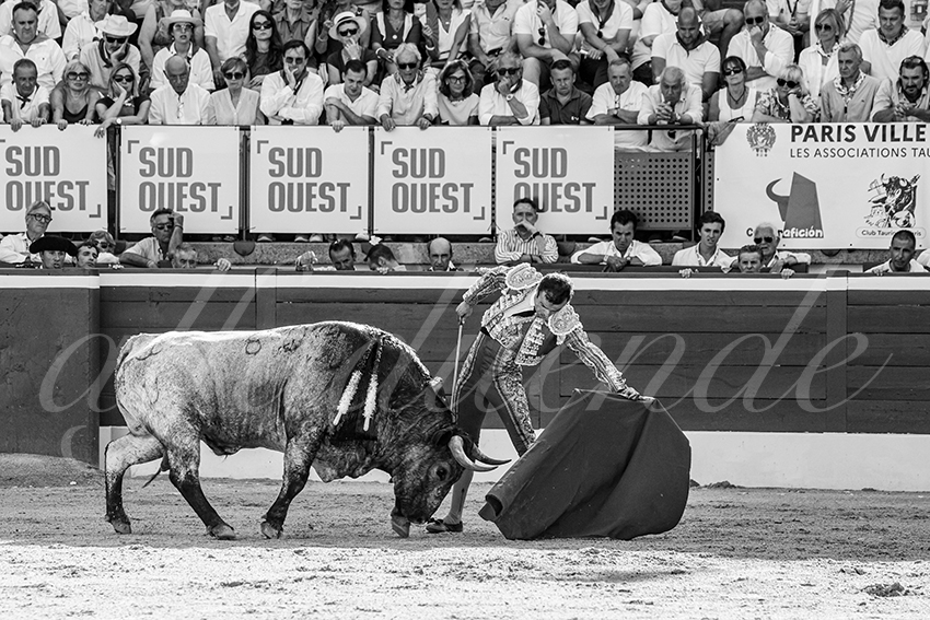 20250718 mt de marsan 008