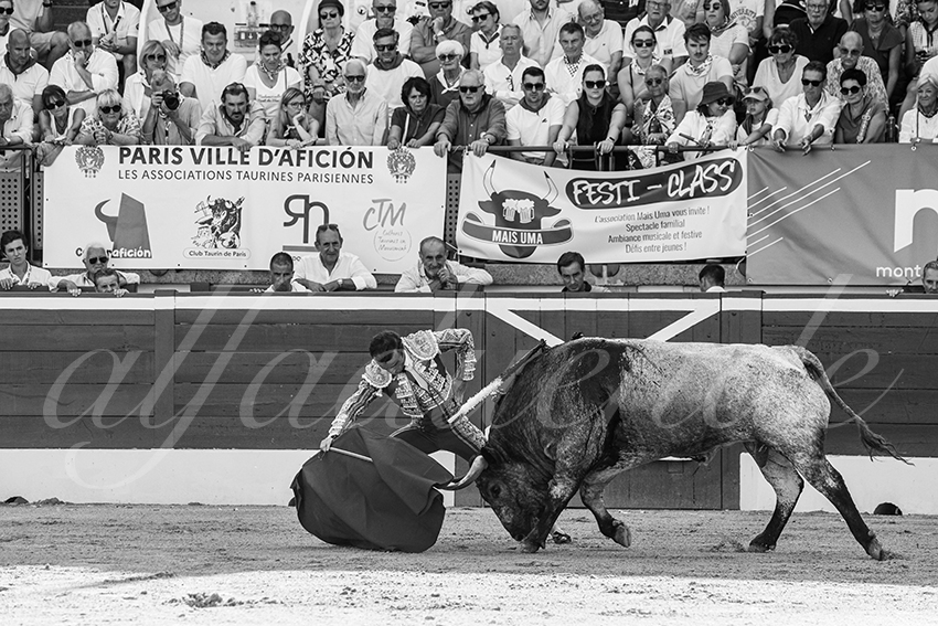 20250718 mt de marsan 007